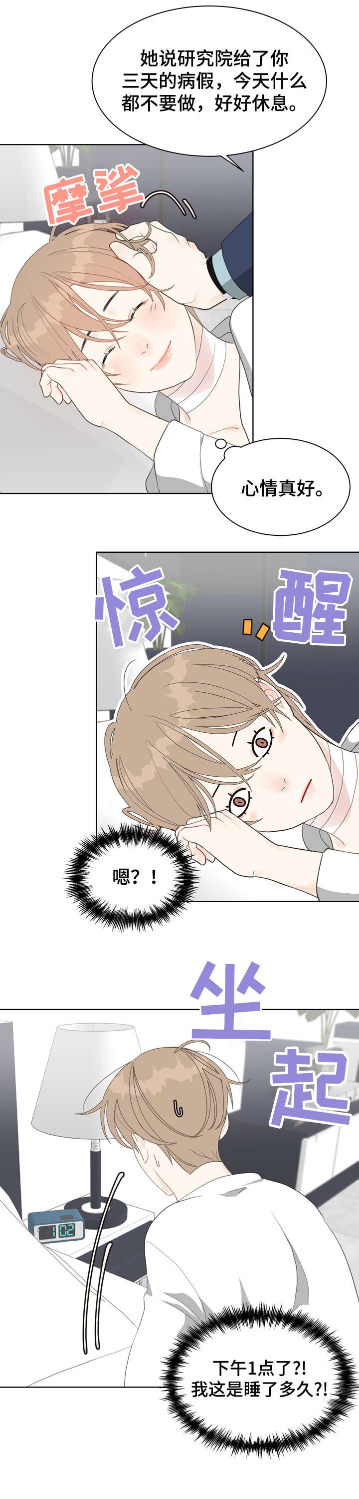 第15章：理想型
