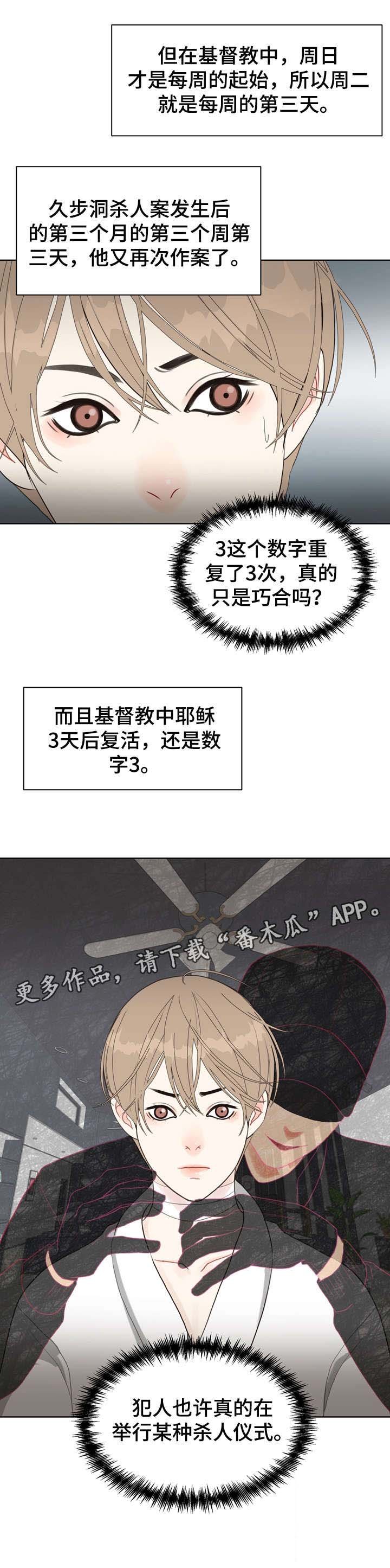 第15章：理想型