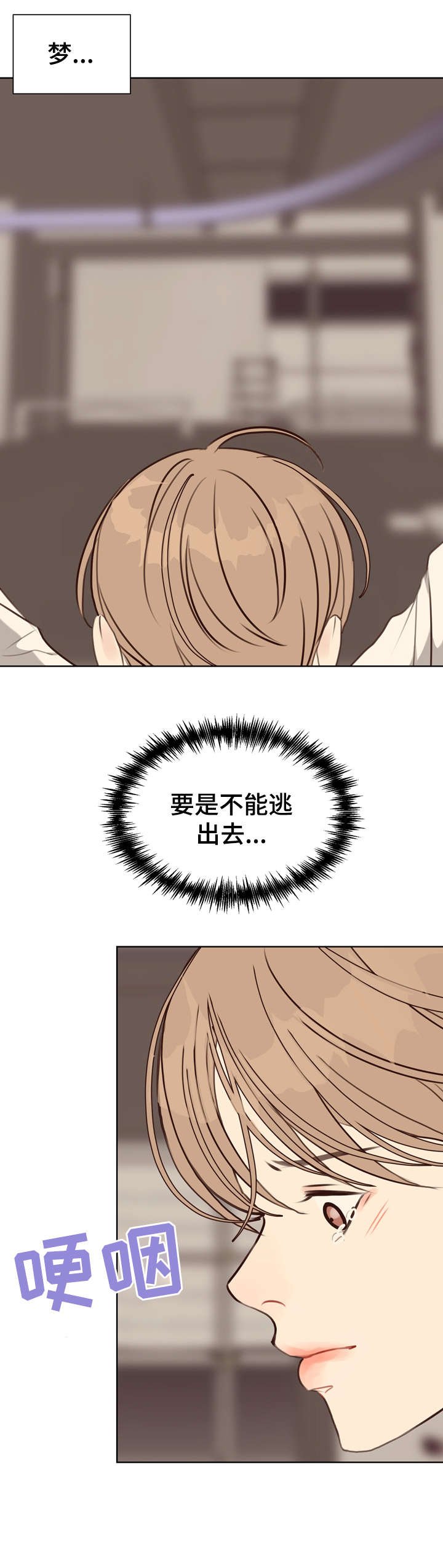 第41章：台阶