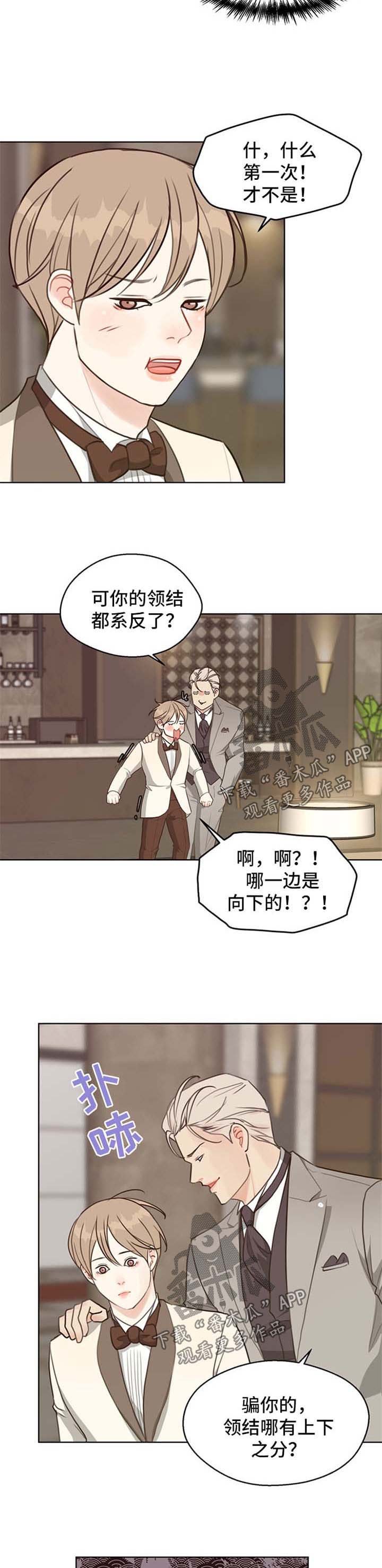 第47章：【第二季】聚会