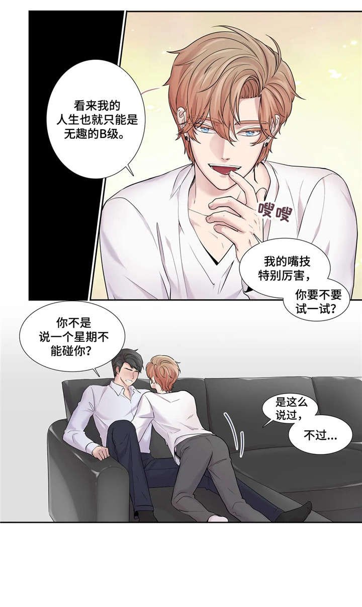 第17章：反差