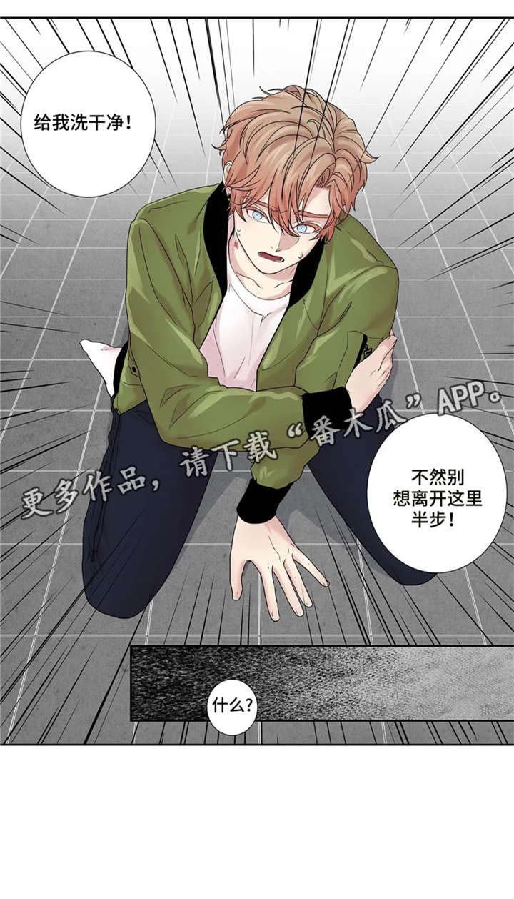 第20章：看看我
