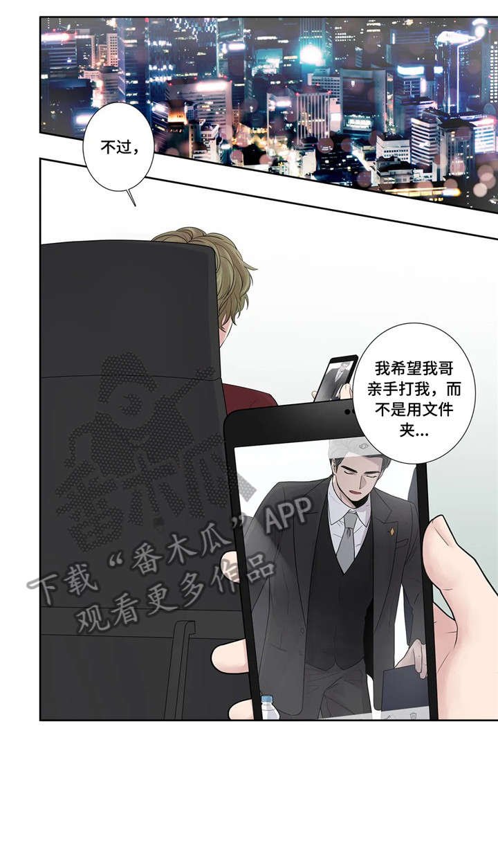 第23章：替代品