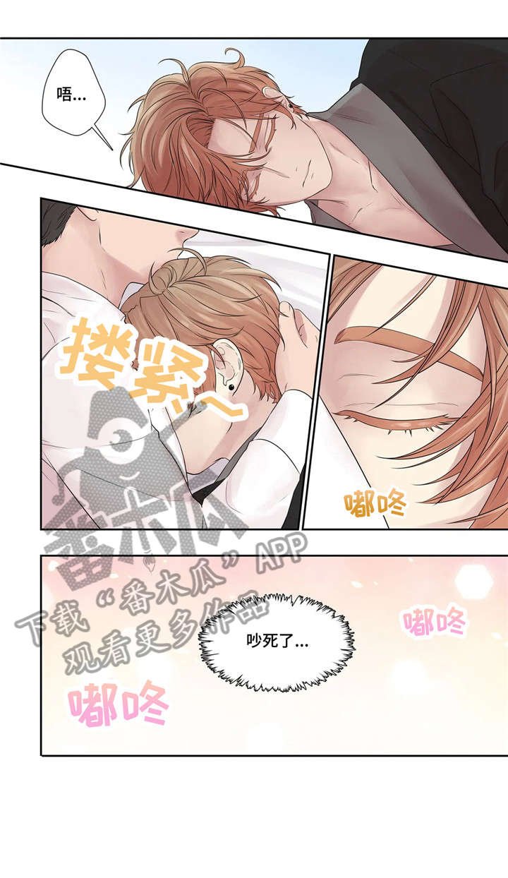 第23章：替代品