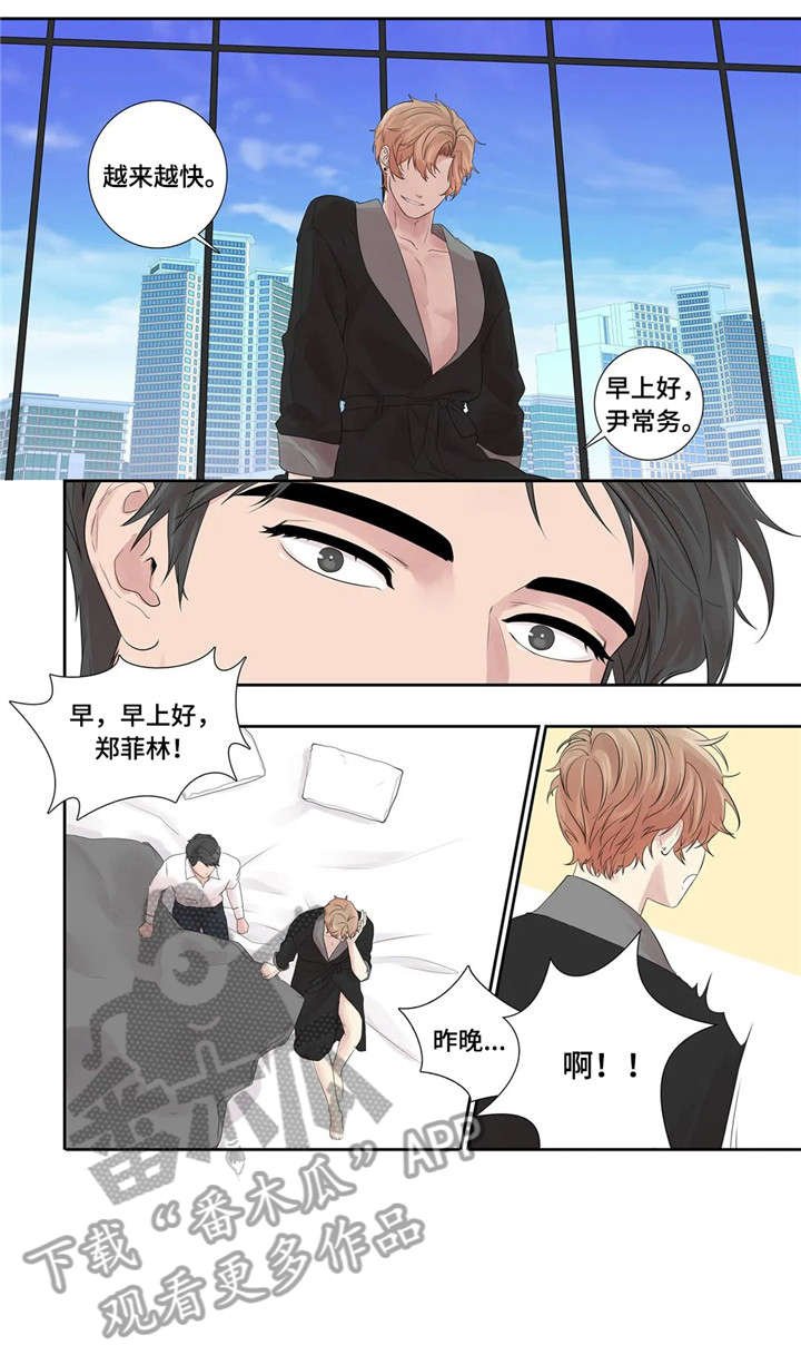 第23章：替代品