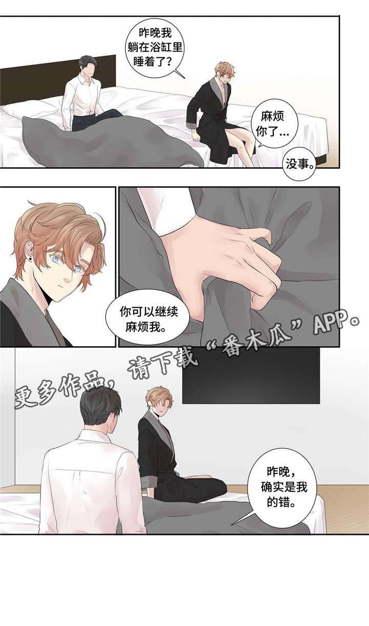 第23章：替代品