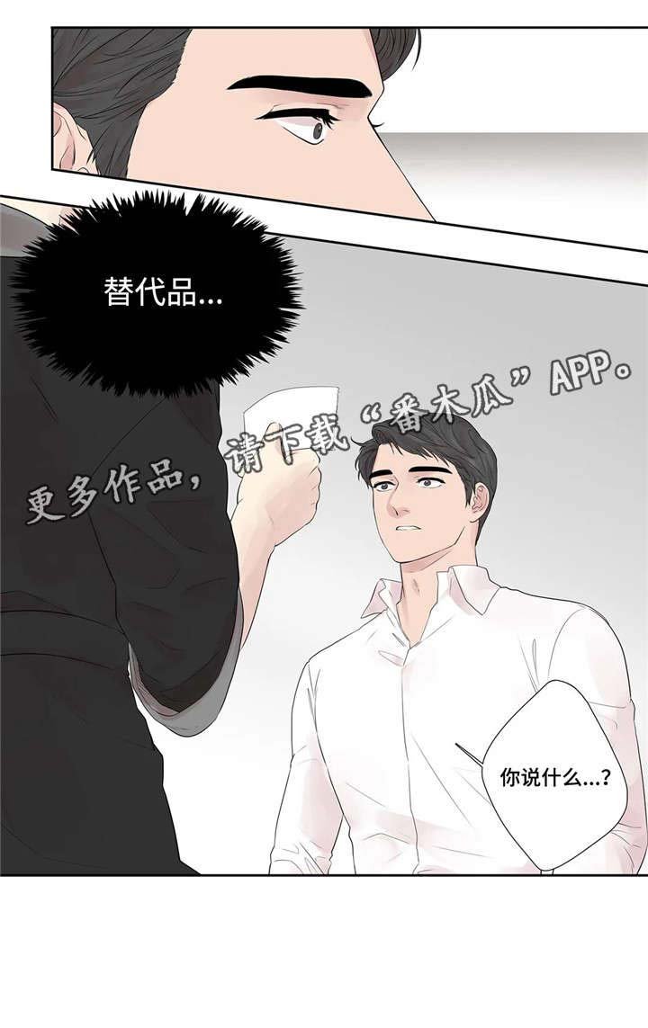 第23章：替代品