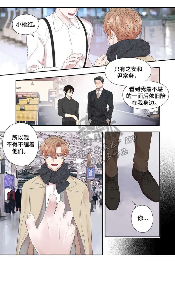 第42章：选择