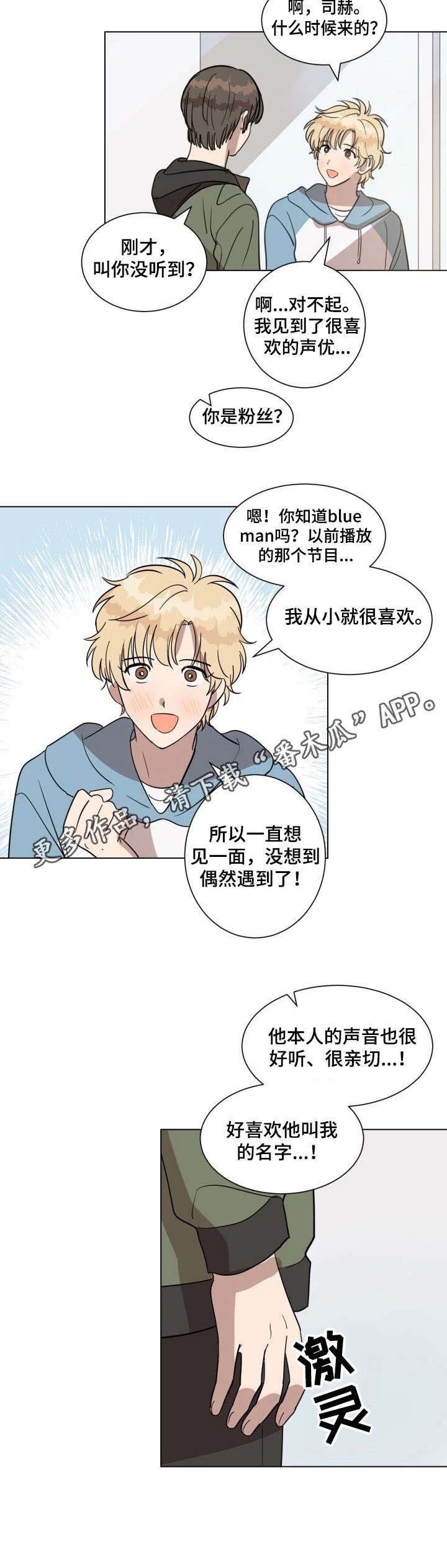 第21章：偶像