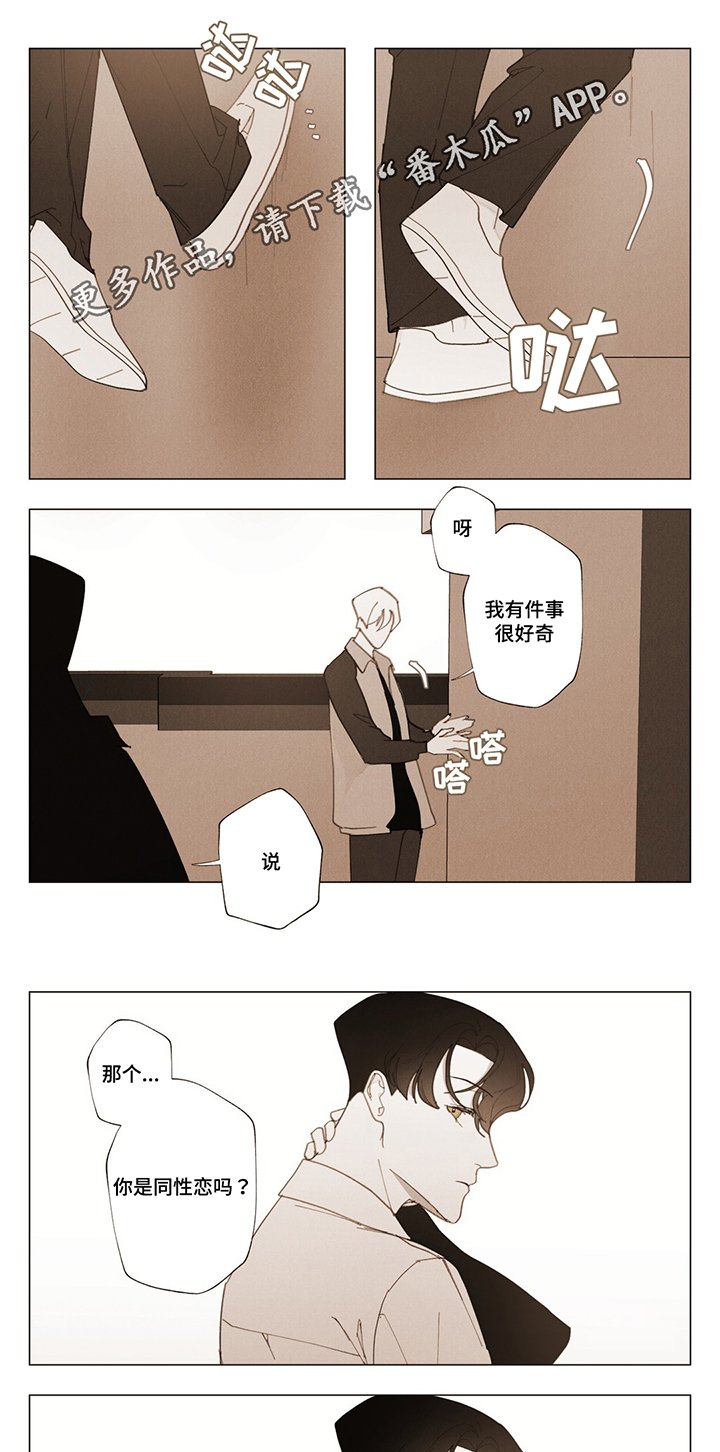 第14章：你的真心？
