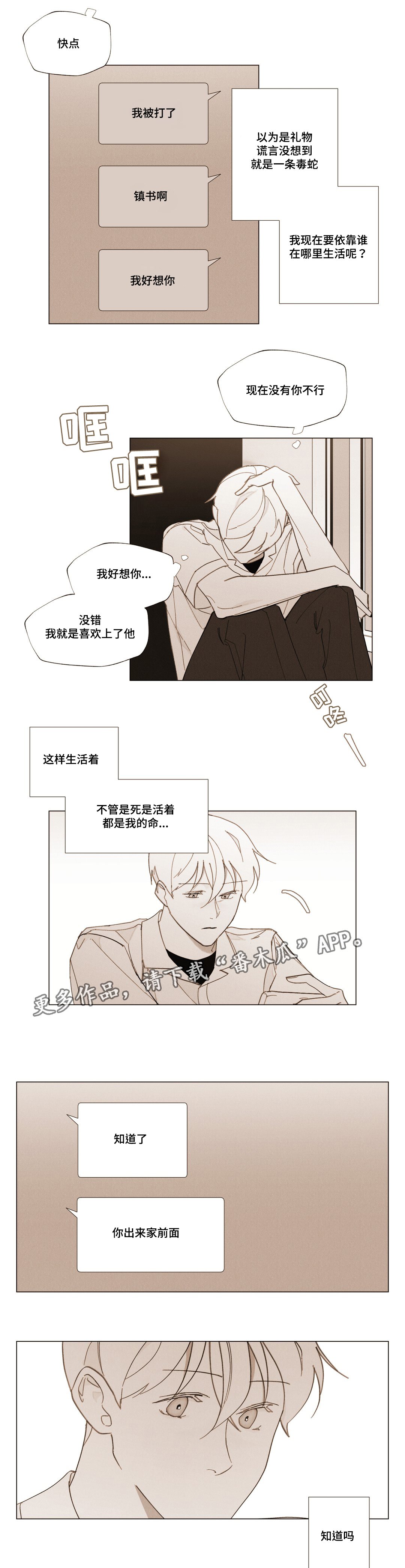 第26章：浪漫的颜色
