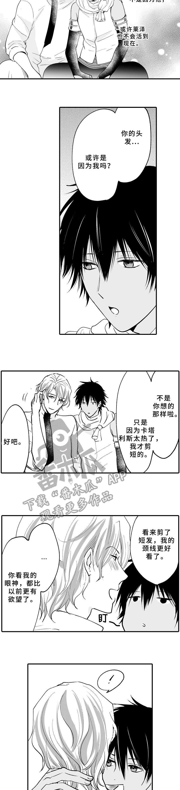 第19章：看着买