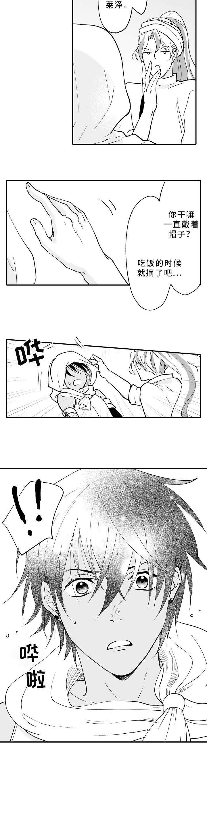第2章：乌龟