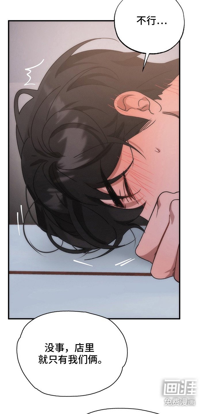 第13章：选择