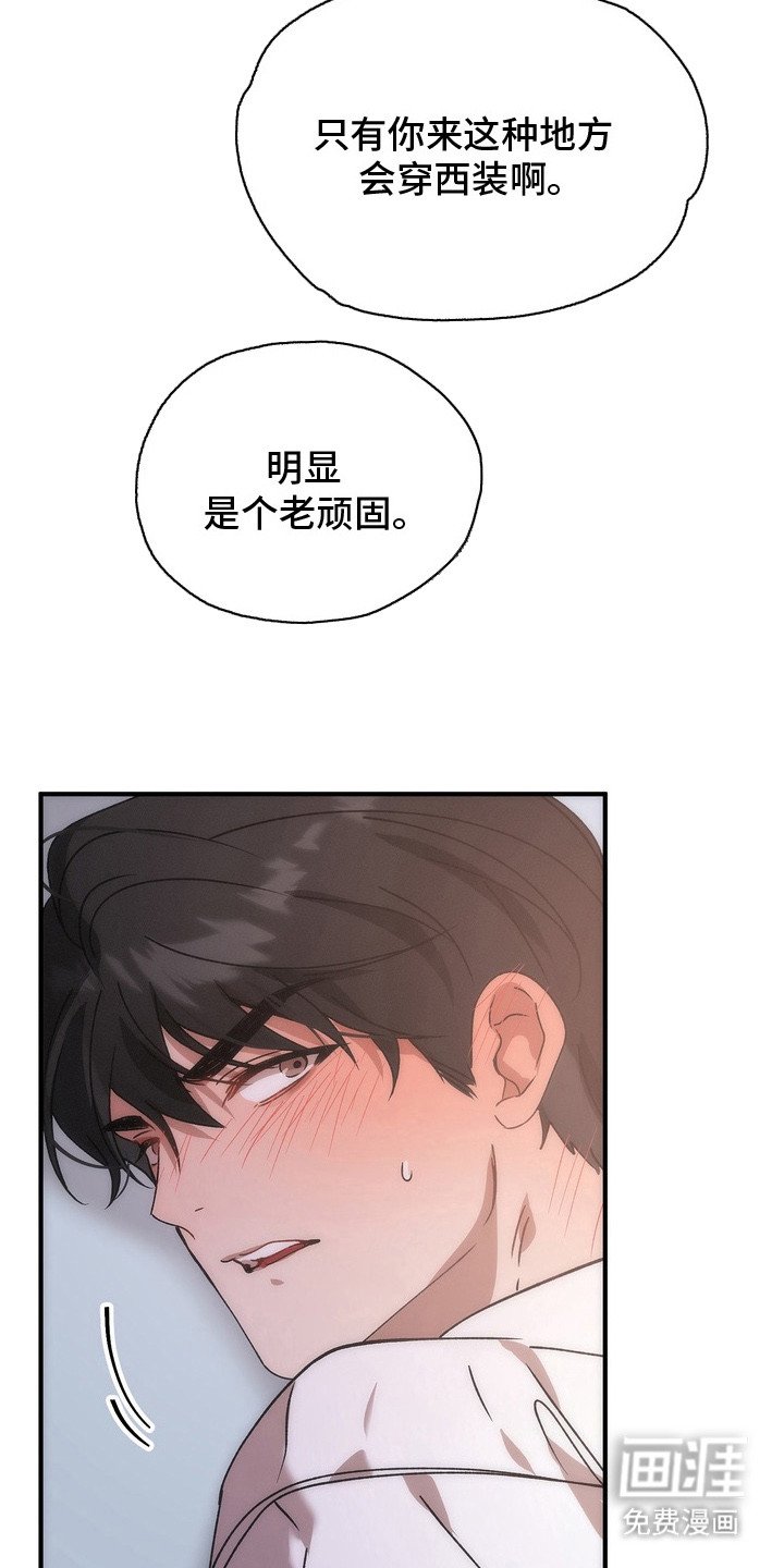 第13章：选择
