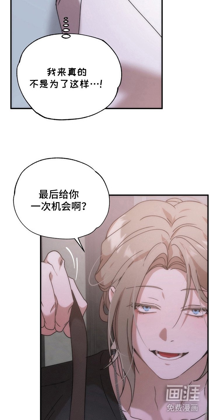 第13章：选择