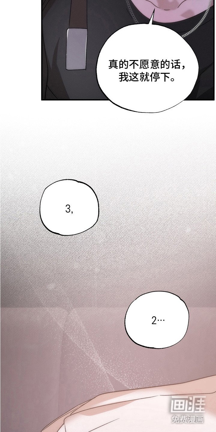 第13章：选择