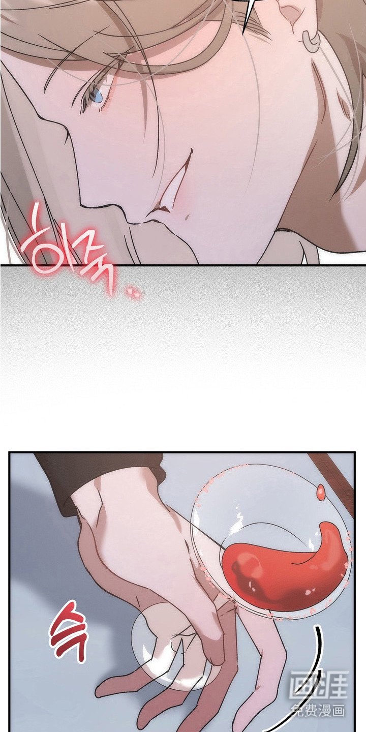 第13章：选择