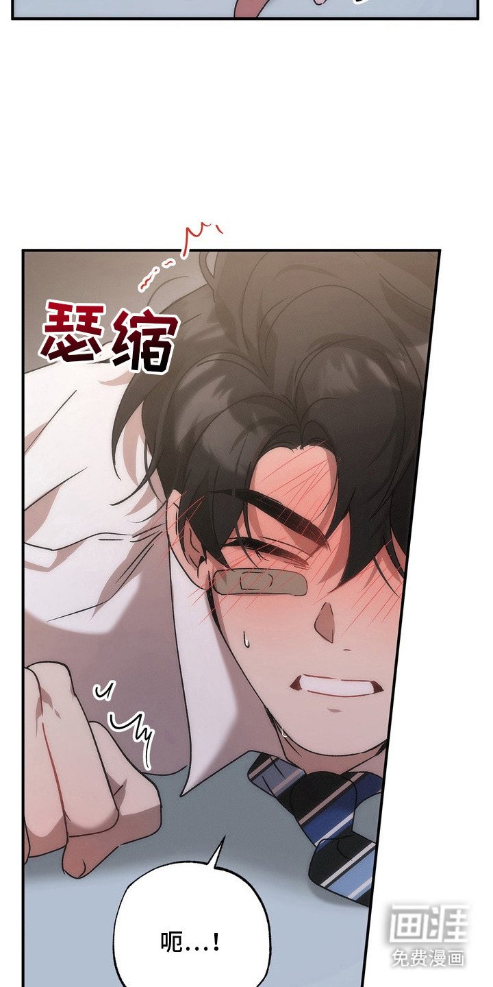 第13章：选择