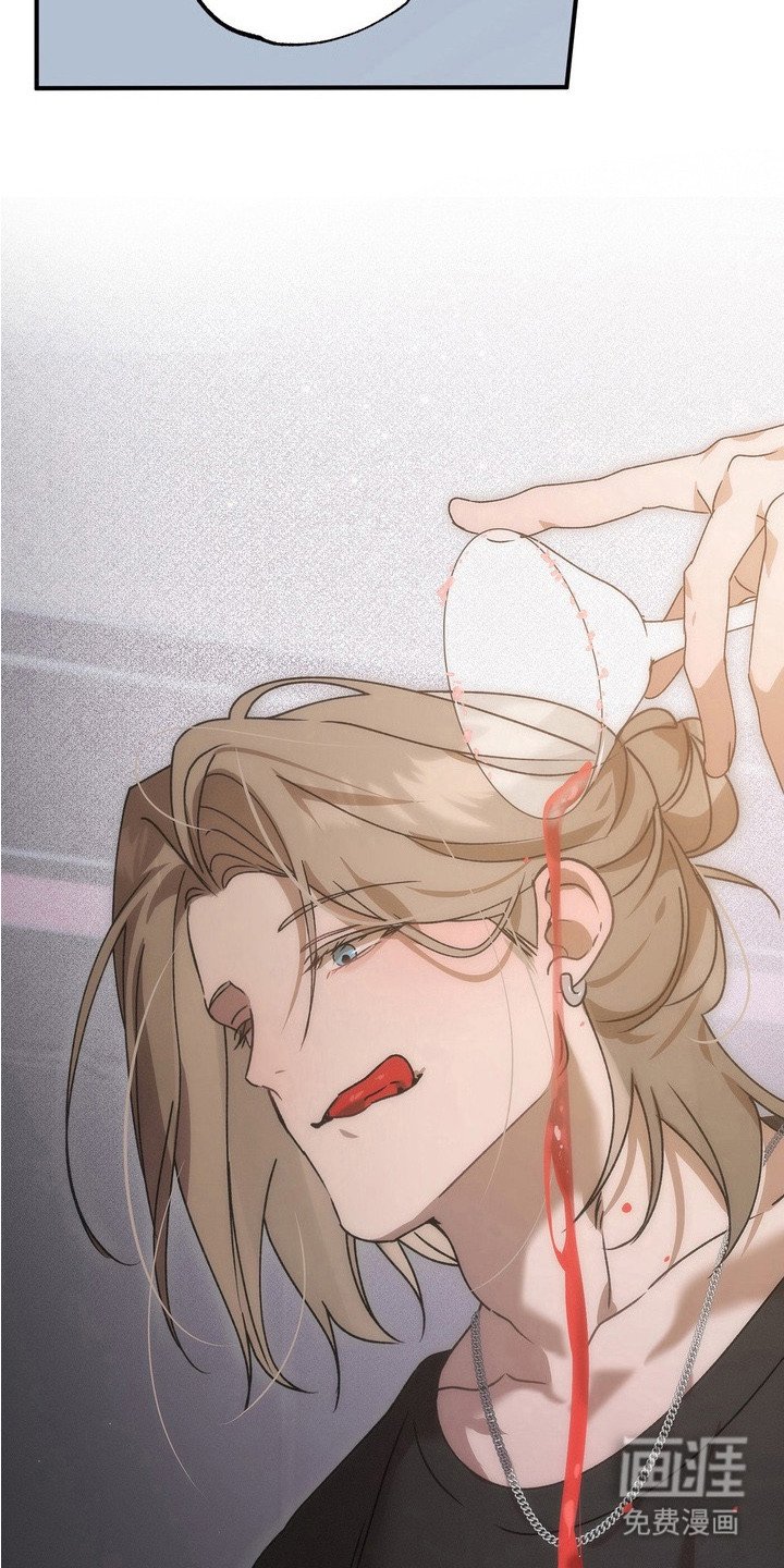 第13章：选择