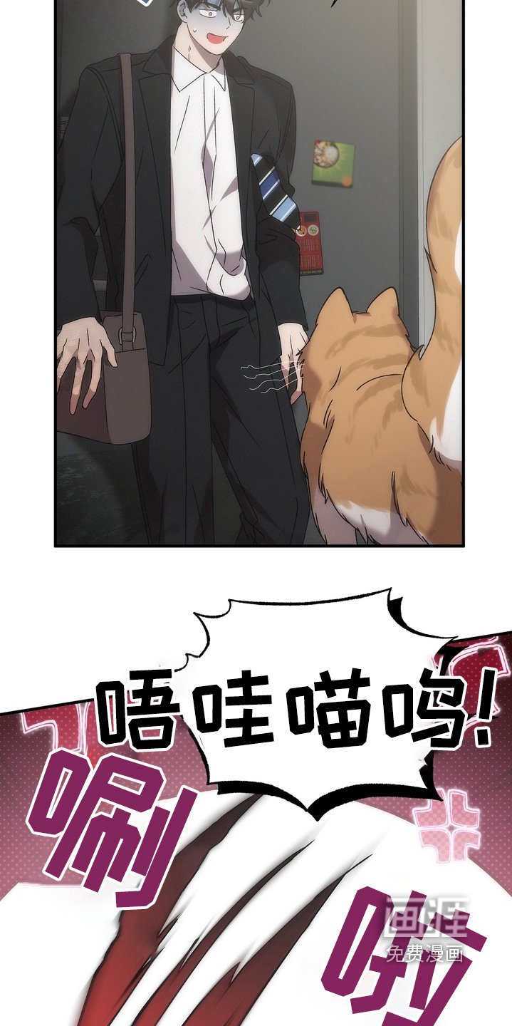第15章：在你家门口
