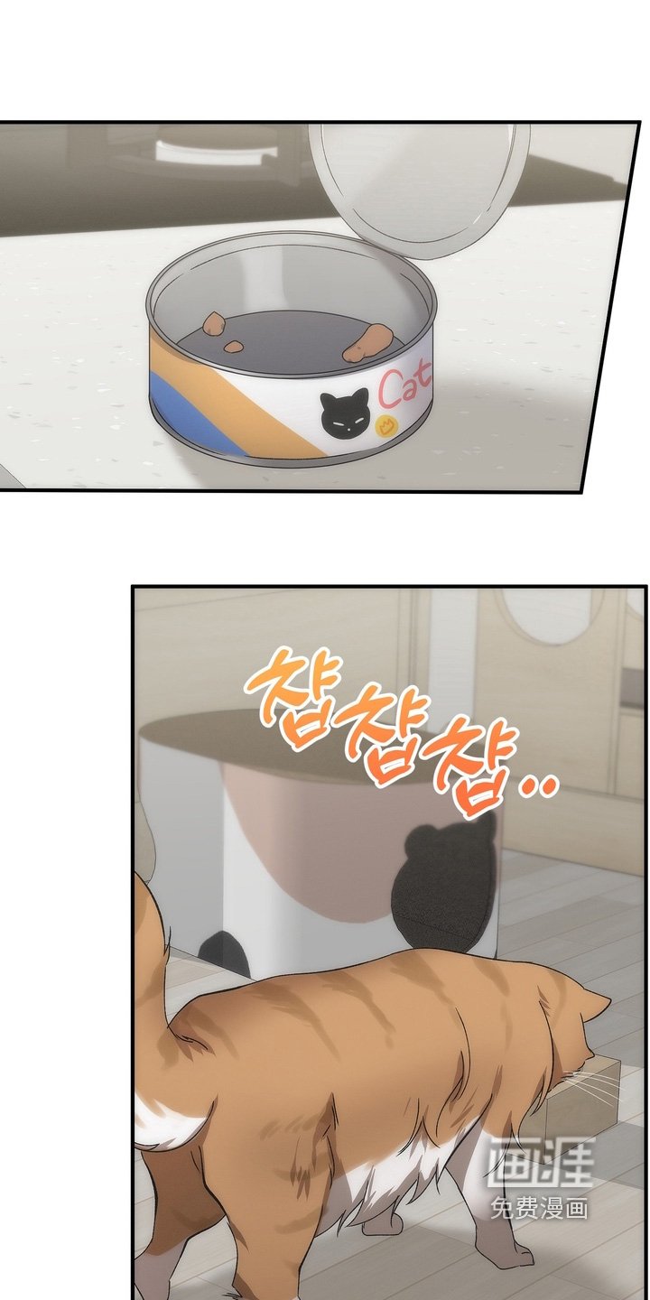 第15章：在你家门口