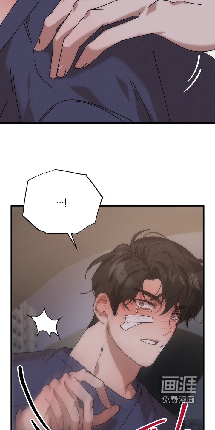 第19章：忘掉旧人