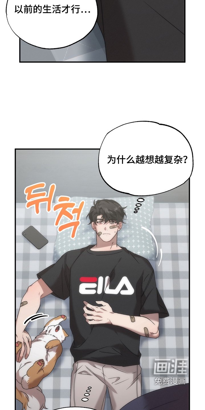 第19章：忘掉旧人