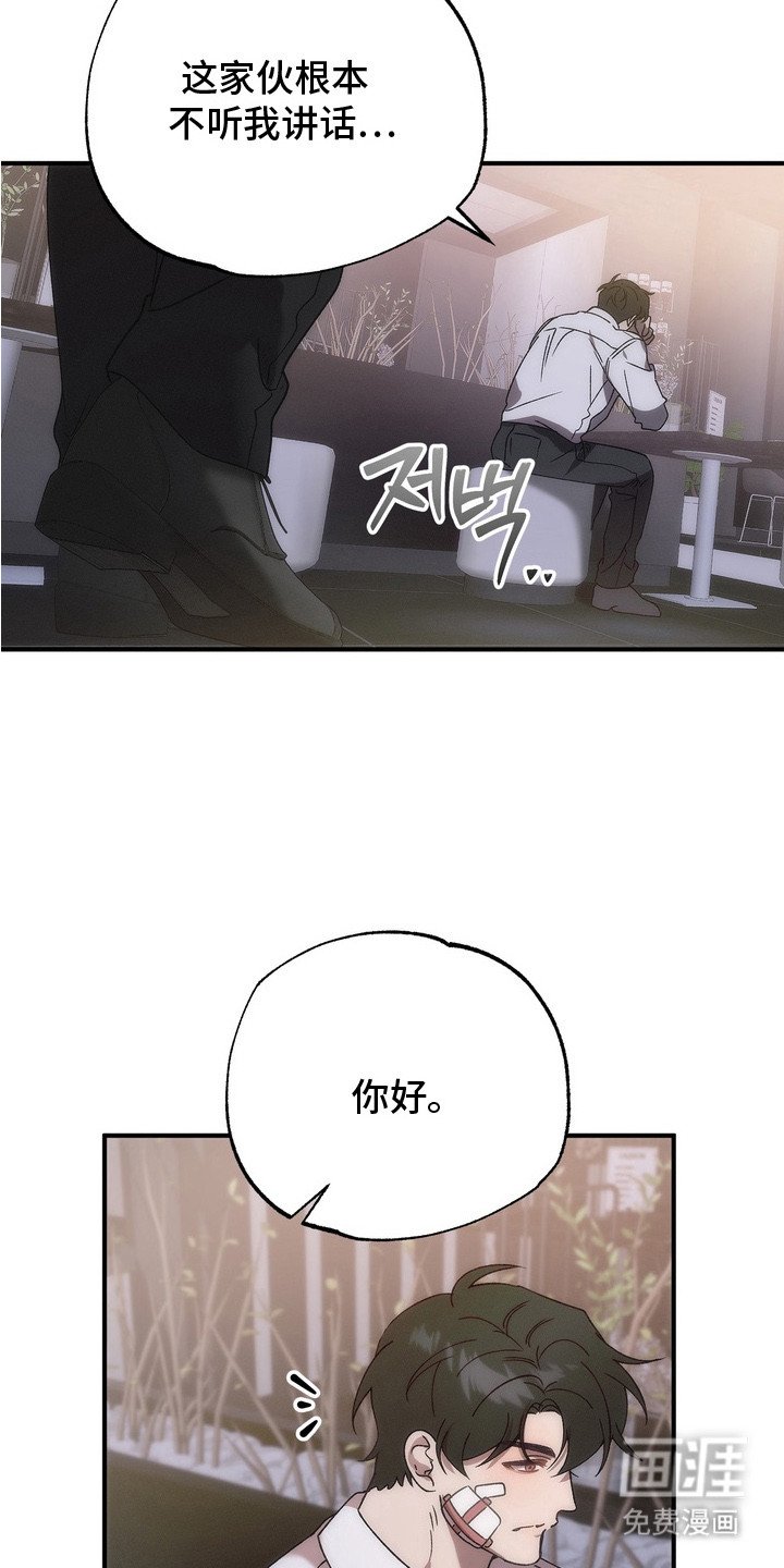 第2章：鸡尾酒