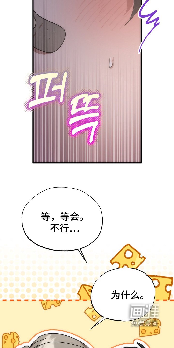 第25章：胡说八道