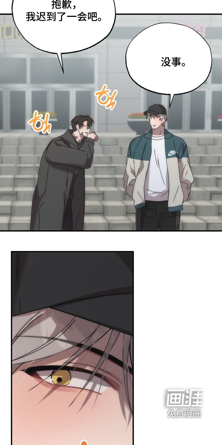 第27章：小猫
