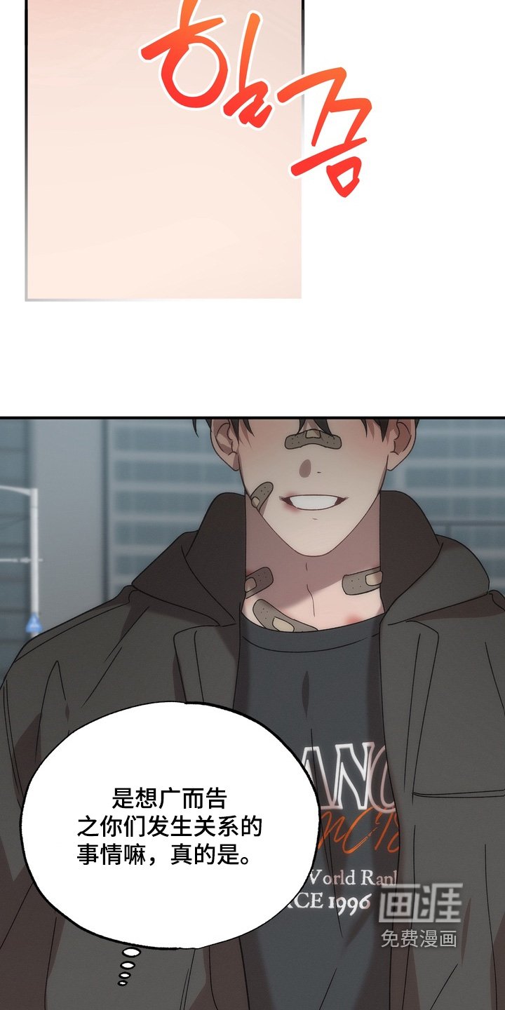第27章：小猫