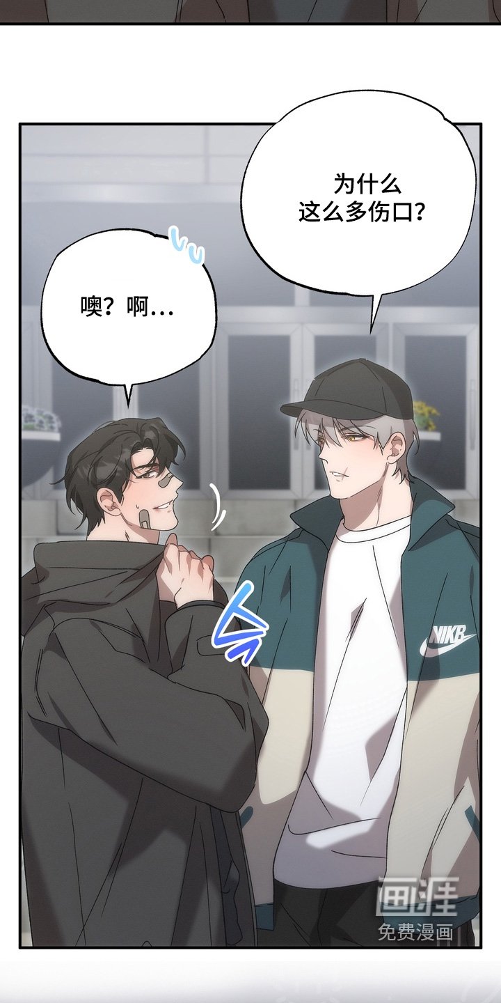 第27章：小猫