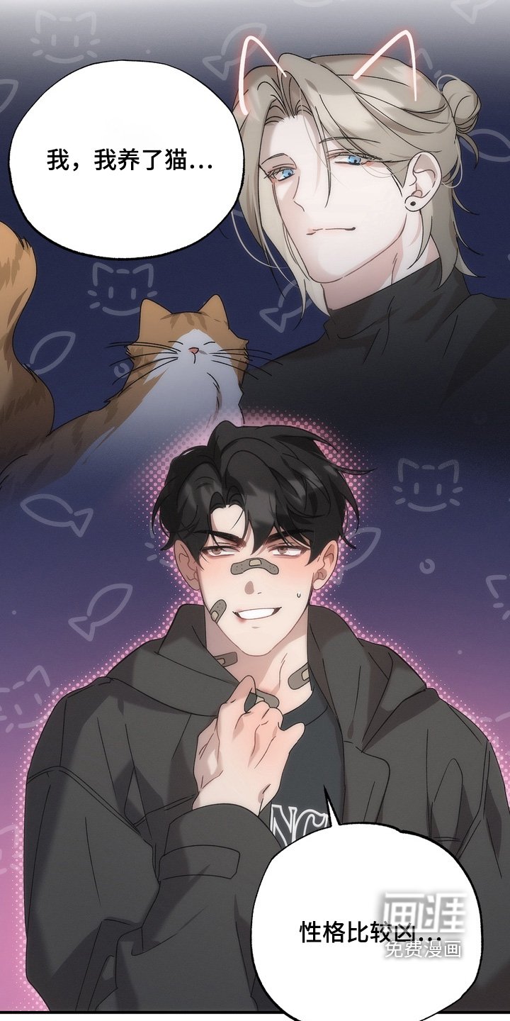 第27章：小猫