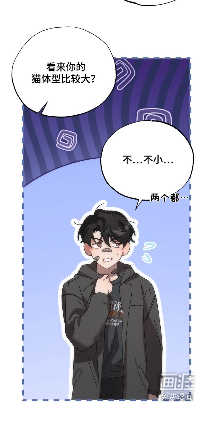 第27章：小猫