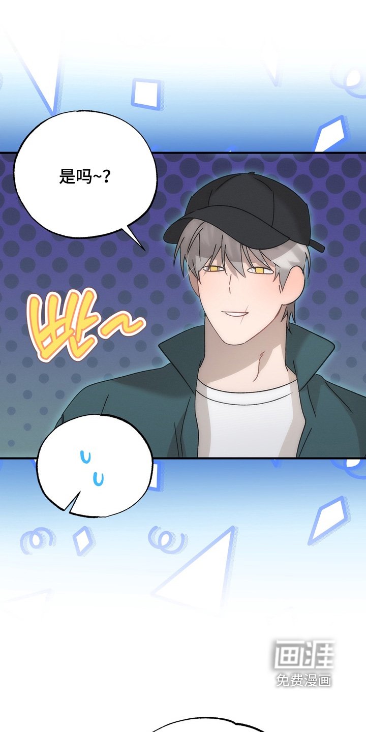第27章：小猫