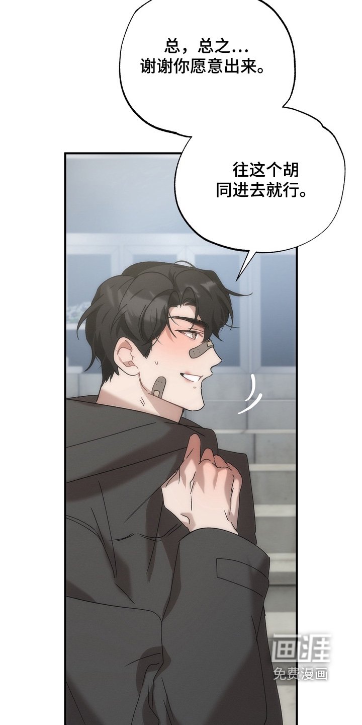 第27章：小猫