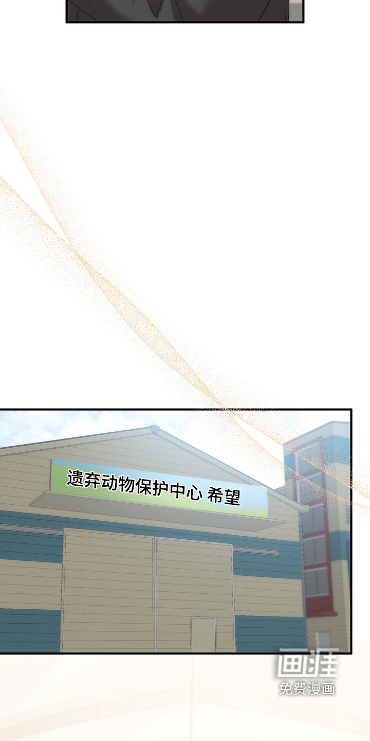 第27章：小猫