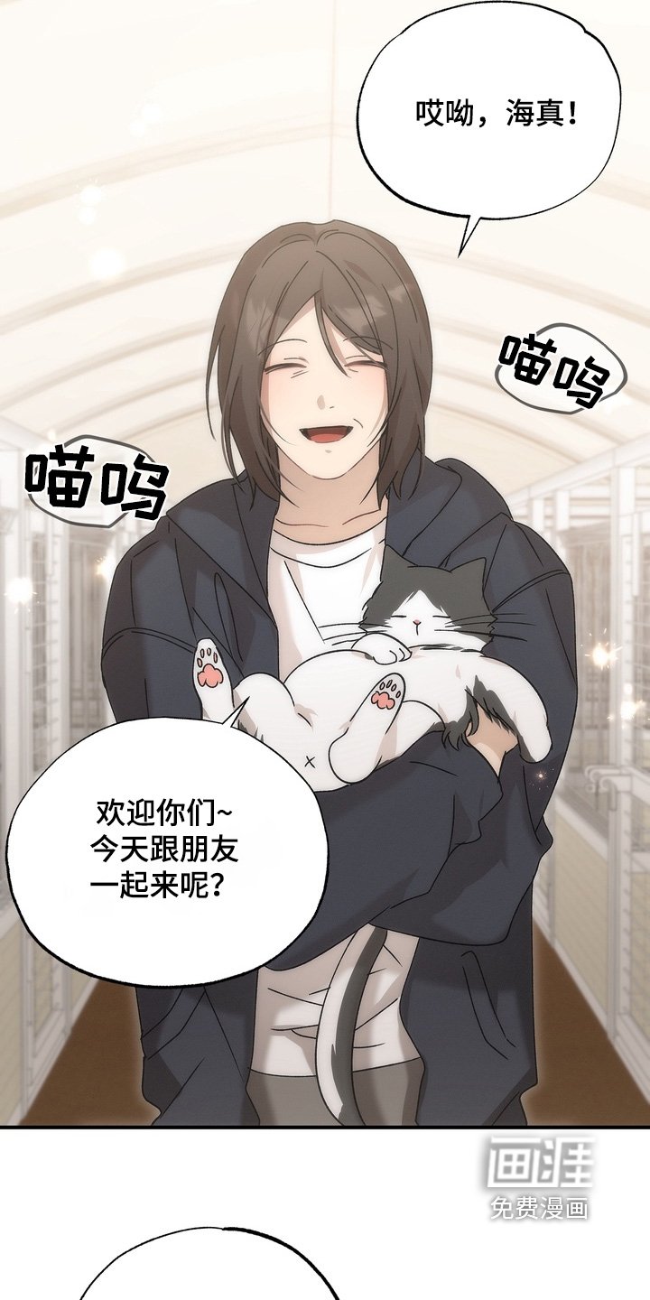 第27章：小猫