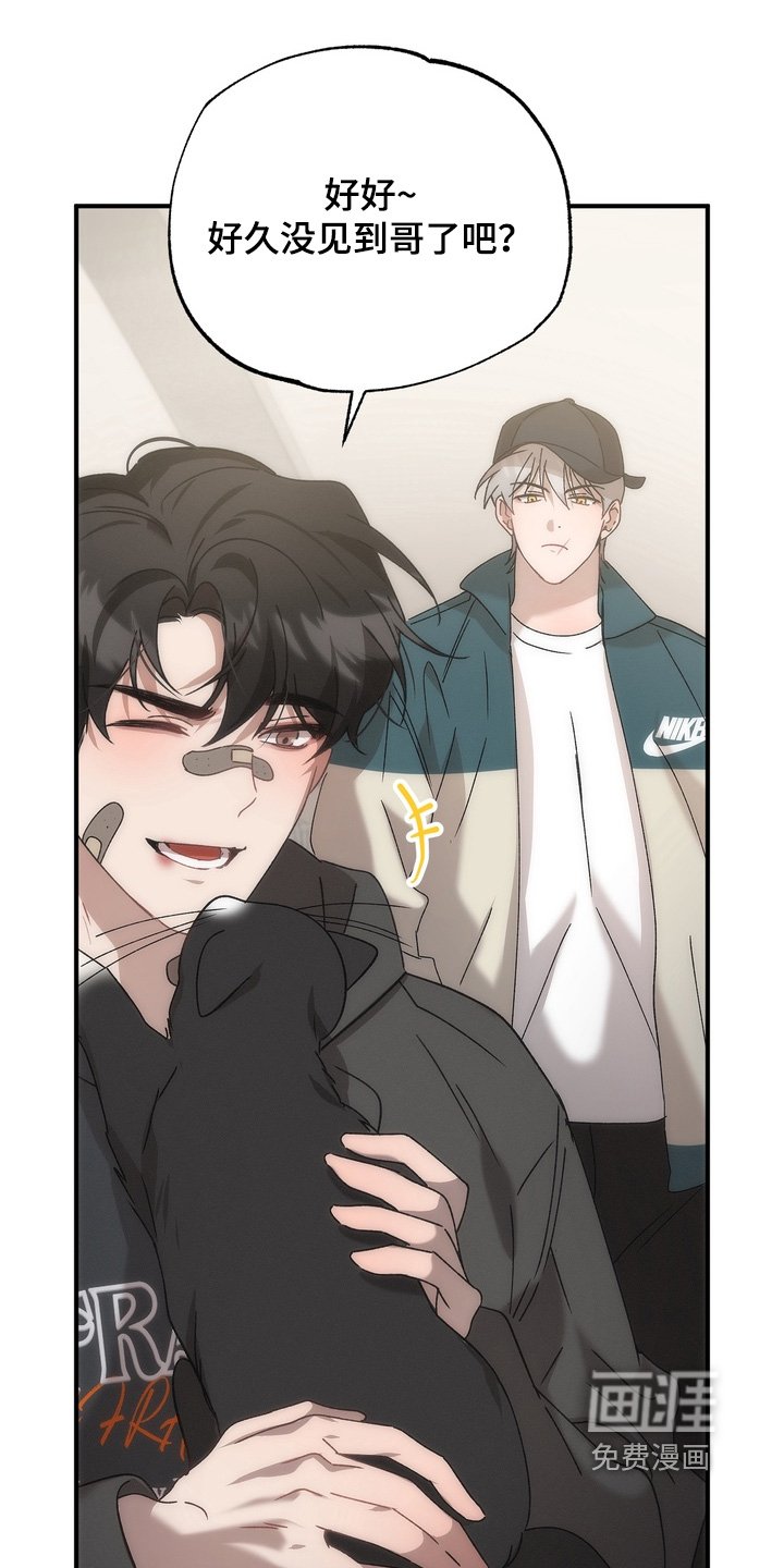 第27章：小猫