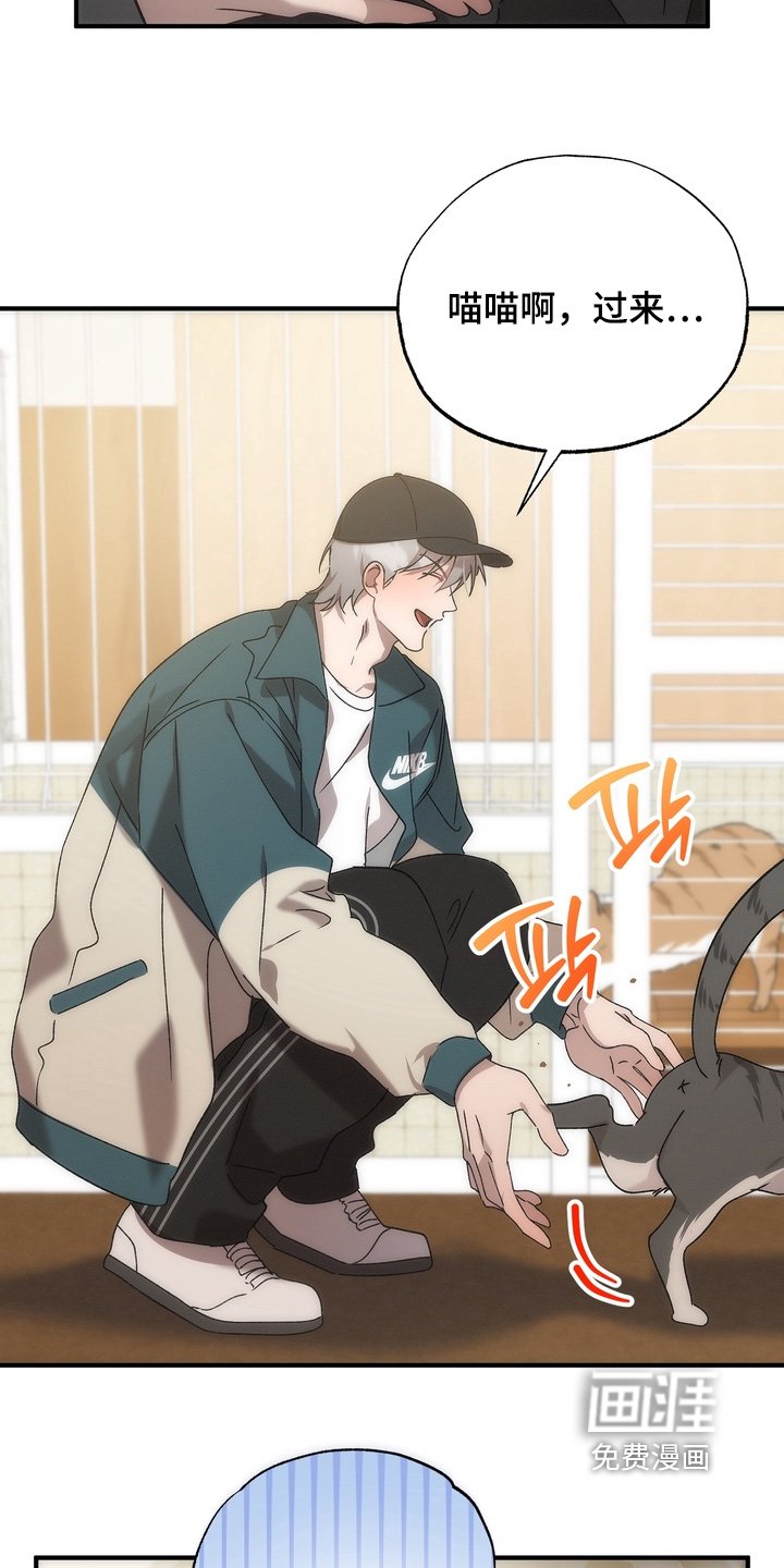 第27章：小猫