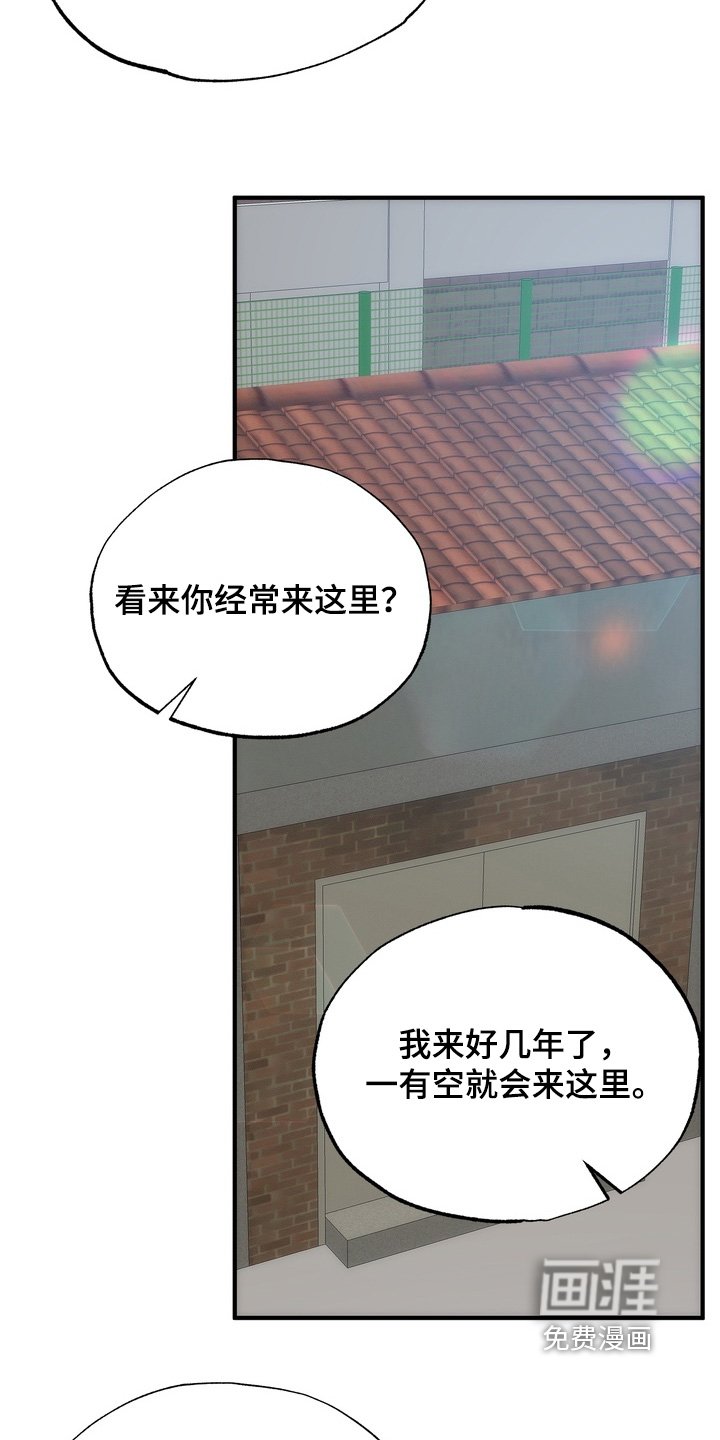 第27章：小猫