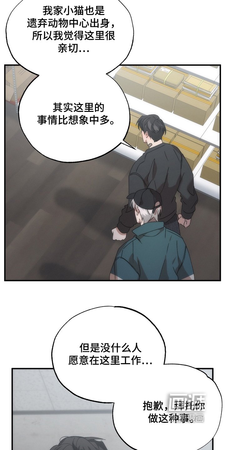 第27章：小猫