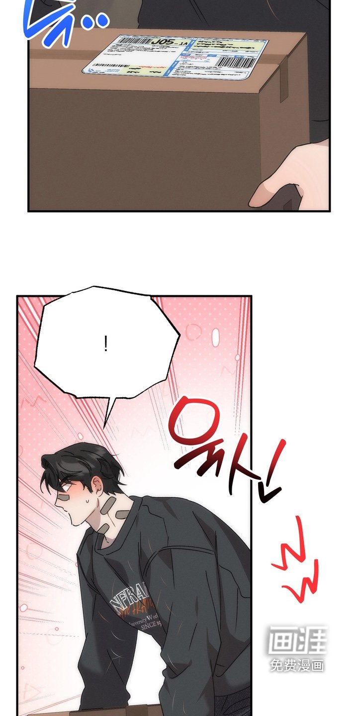 第27章：小猫