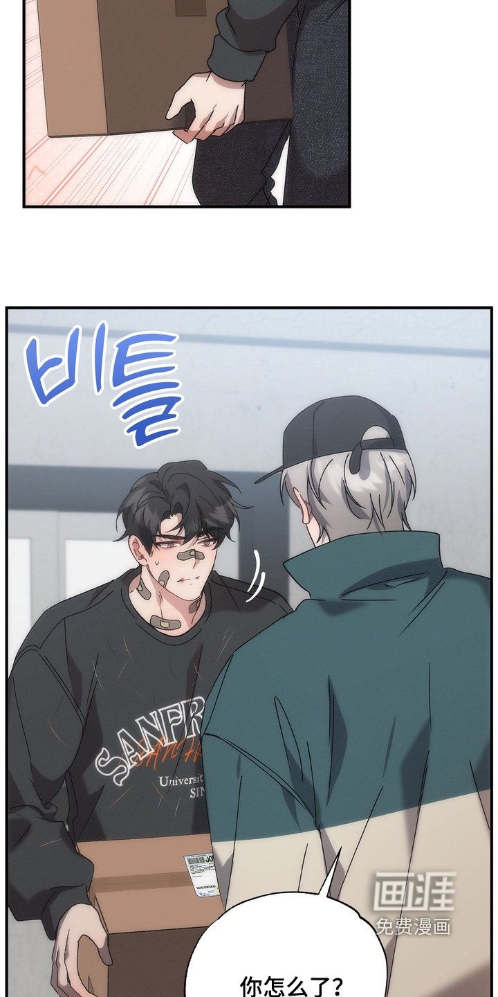 第27章：小猫