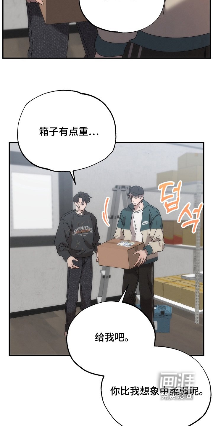 第27章：小猫
