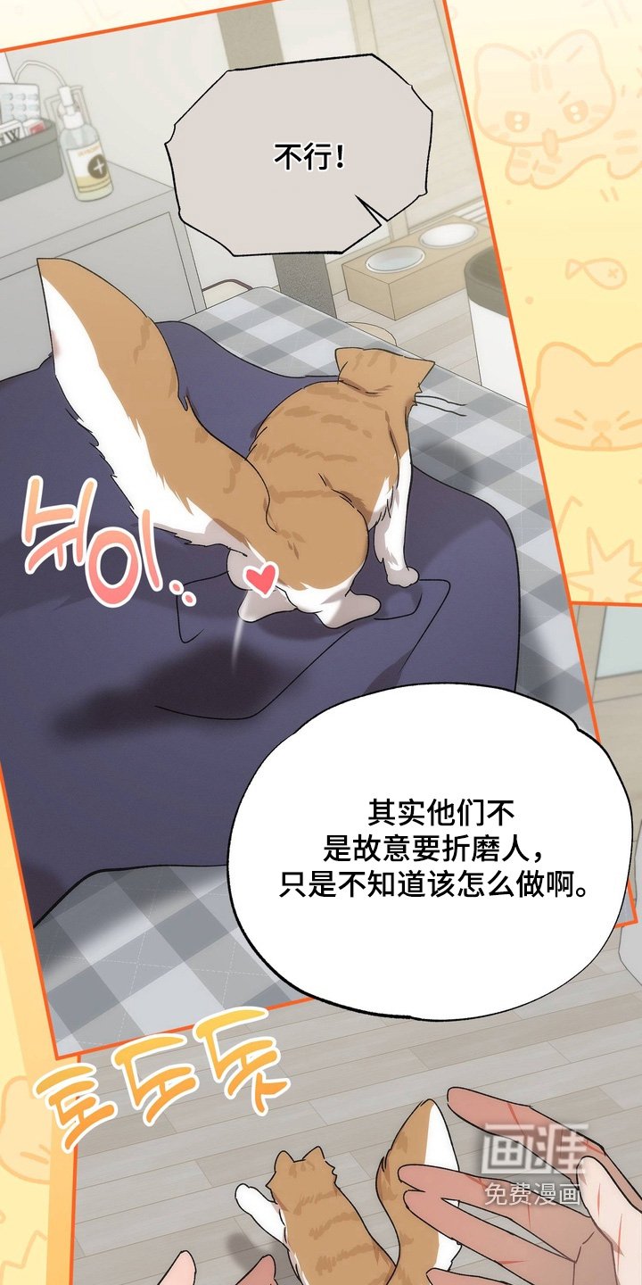 第29章：第一个对象