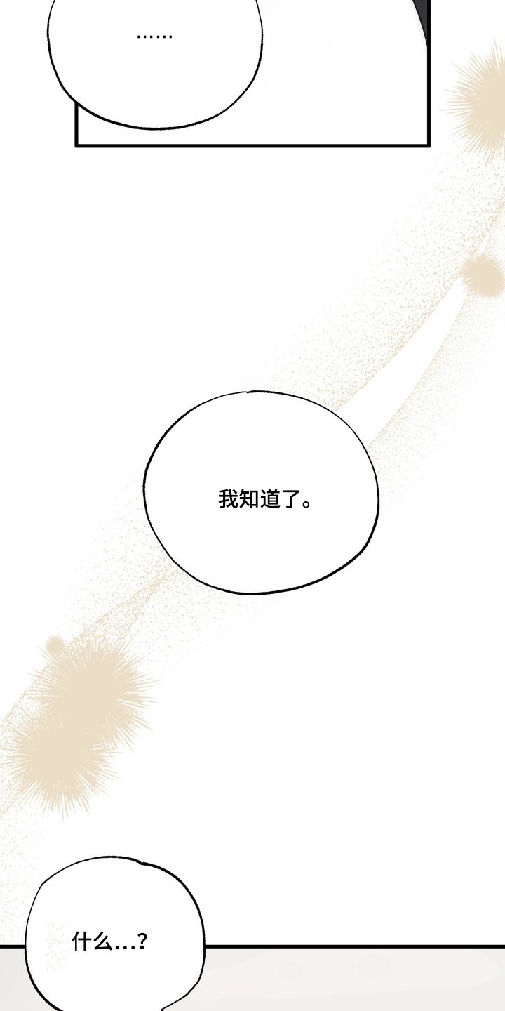 第36章：【番外】我回来了
