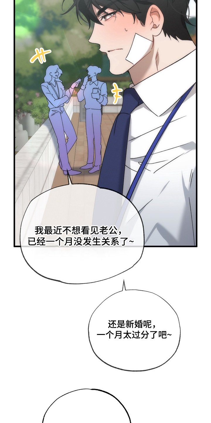 第36章：【番外】我回来了