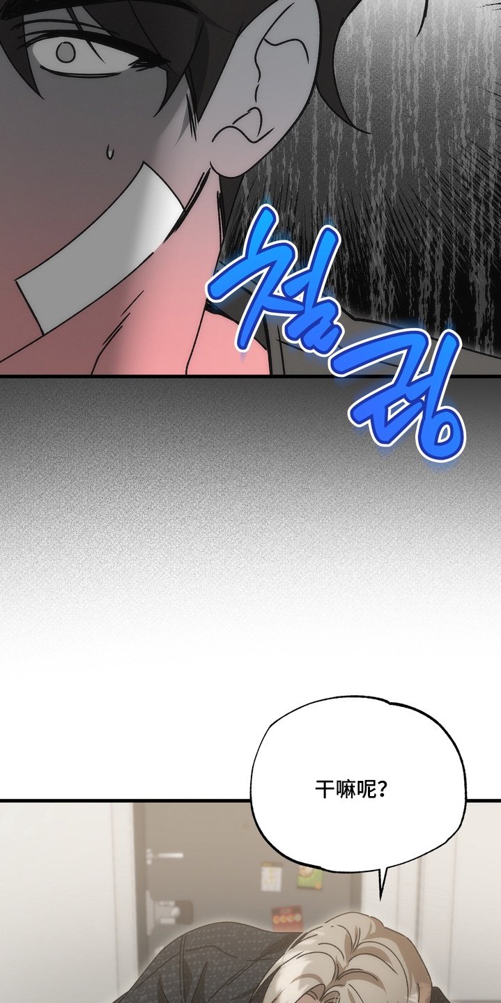 第37章：【番外】不要误会